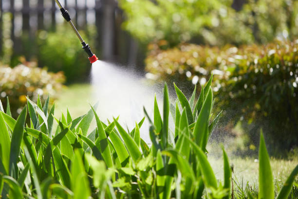 24/7 Emergency Cockroach Control experts in Ashland, OH