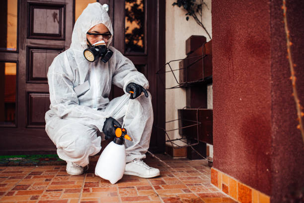 Reliable Cockroach Control contractor in Ashland, OH by Nex Pest Control